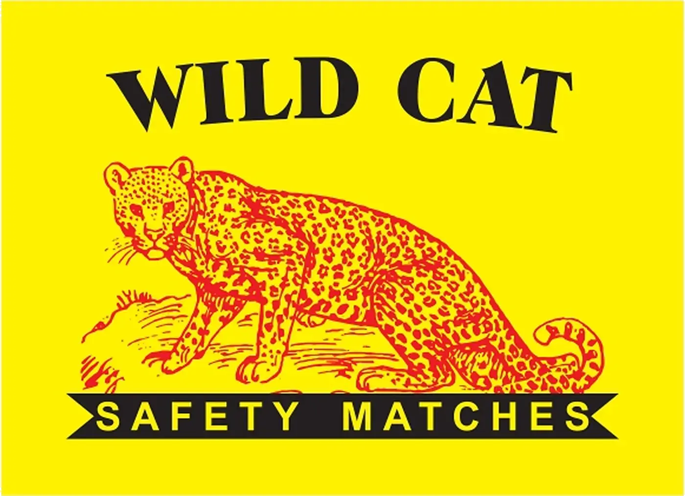 Wild Cat Matches